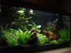 Aquarium 007.JPG
