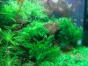 DSC07884.JPG