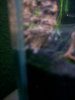 100_1207.JPG