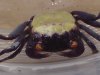 DSC00360.JPG