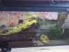 DSC00370.JPG