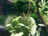 19052009346.jpg