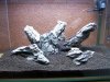 100_4041.jpg