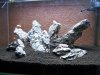 100_4044.jpg