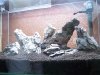 100_4054.jpg