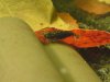 DSC03912.JPG