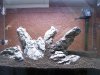 100_4062.jpg
