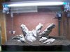100_4063.jpg