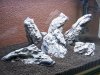 100_4064.jpg