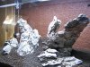 100_4065.jpg