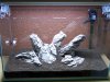 100_4066.jpg