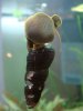 DSC06542.JPG