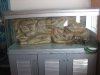 R%FCckwand_008_600x450.jpg