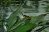 K800_DSC_7199.JPG