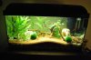 K800_DSC_7253.JPG