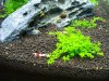 100_4095.jpg