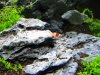 100_4135.jpg