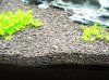 100_4159.jpg