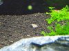 100_4163.jpg
