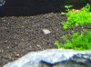 100_4165.jpg