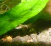 P1020123.JPG