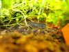 DSC01110.jpg