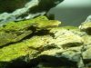P1020910-a.JPG