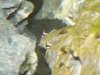P1020929-a.JPG