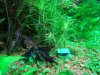 DSC07878.JPG