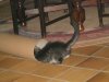 110_1056.JPG