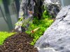 100_4172.jpg