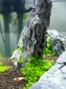 100_4173.jpg