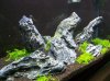 100_4174.jpg