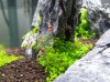 100_4176.jpg