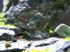 100_4180.jpg