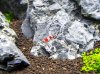 100_4185.jpg