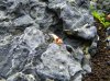 100_4187.jpg