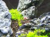 100_4188.jpg