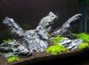 100_4191.jpg