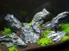 100_4194.jpg