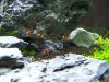 100_4221.jpg