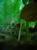 DSC02651.JPG
