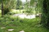 Teich (1).jpg
