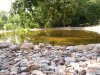 Teich (3).jpg