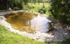 Teich (8).jpg