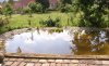 Teich (10).jpg