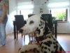 DSC00723.JPG
