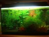 DSC07138.JPG