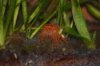 DSC_0189.jpg