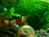 DSC02645.JPG